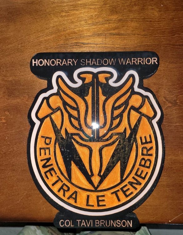 Shadow Warrior Badge